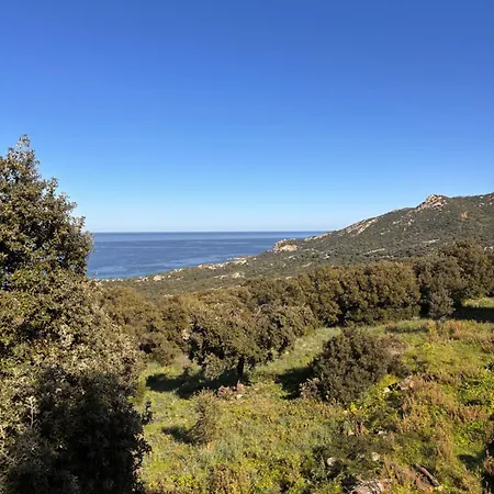 Affittacamere Casa A Scopa